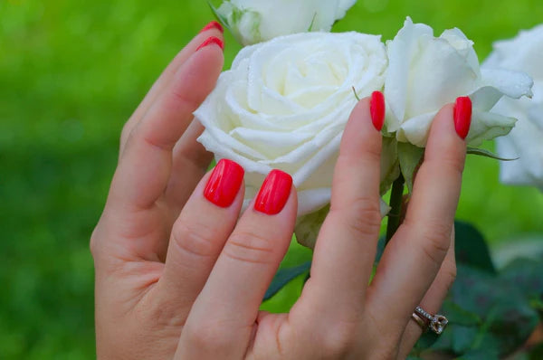 A person's hand with vibrant red handcrafted false nails gently holding a white rose against a lush green background